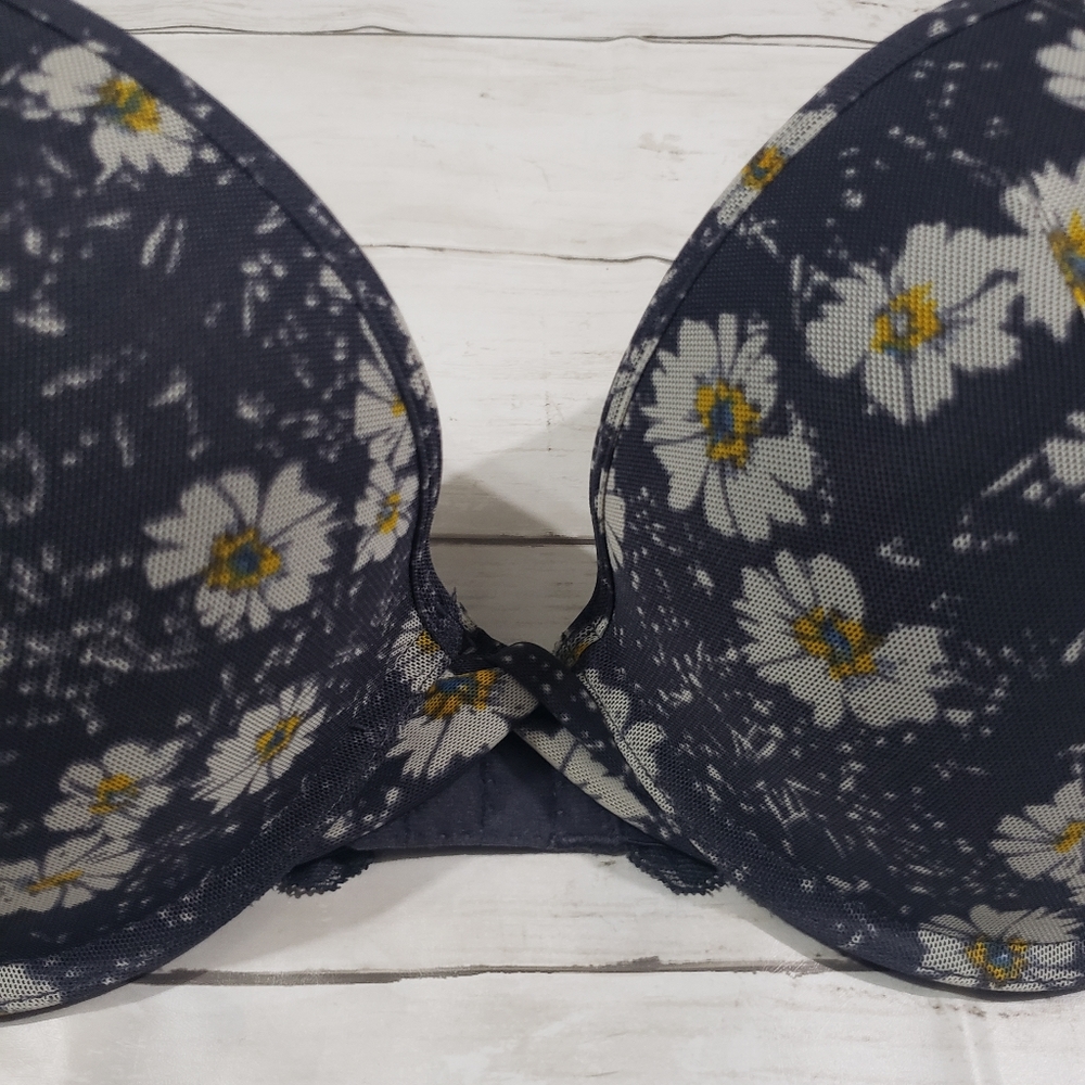 Adore Me Eve Push Up Plunge Bra 38d Romantic Floral Daisies Sheer Mesh Blue